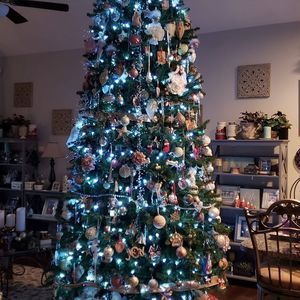 Meet your Posher, Laurie